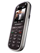 Best available price of Motorola WX288 in Guatemala