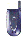 Best available price of Motorola V66i in Guatemala